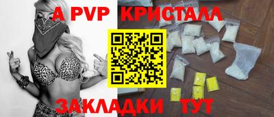 стаф Тула