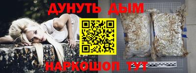 стаф Тула