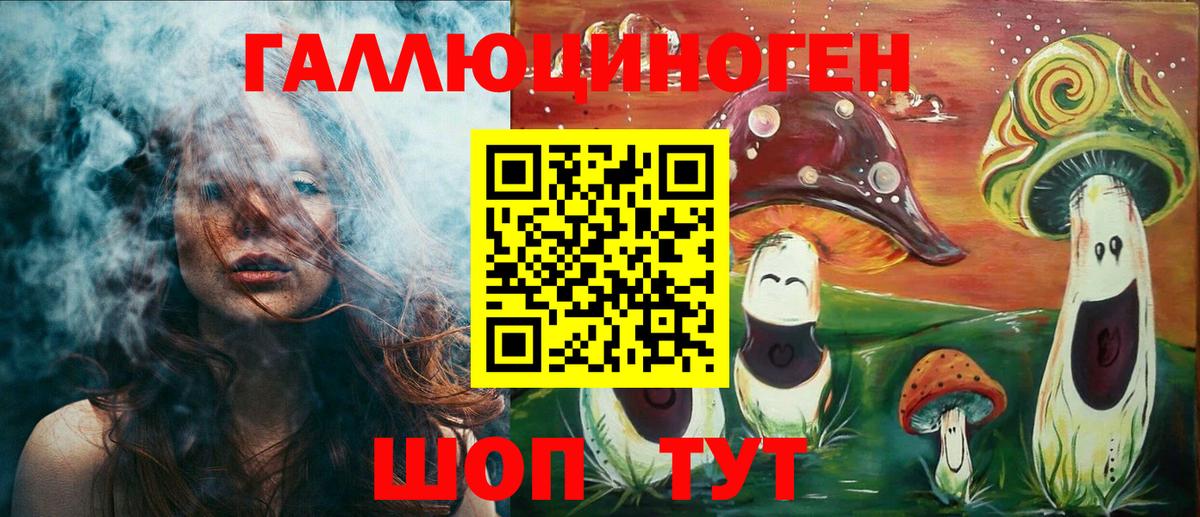 Псилоцибиновые грибы Psilocybine cubensis Междуреченск